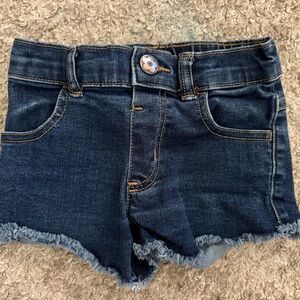 3T - Denim Frayed Hem Shorts
